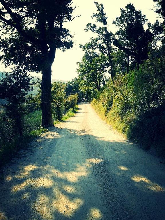 Agriturismo Le Vigne Фолиньо Екстериор снимка